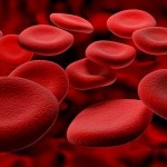 Excess Iron in Blood