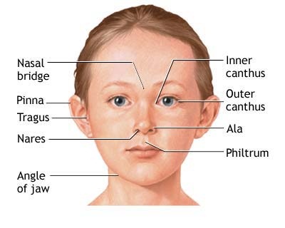 Fetal Alcohol Syndrome - Causes, Symptoms, Facts, Treatment, Pictures ...