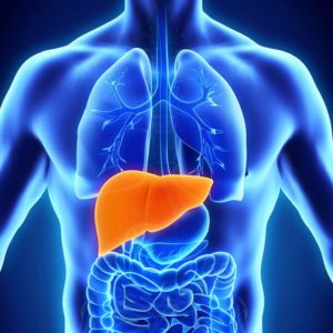 Liver Inflammation