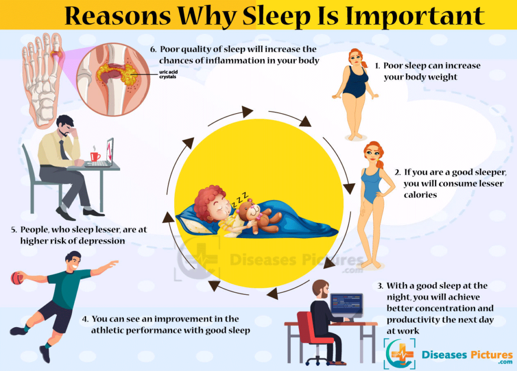 Why is sleep important